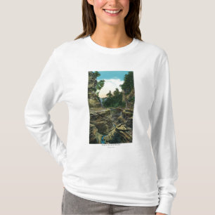 Beskåda av det sydligt hänrycker klyftan t shirt