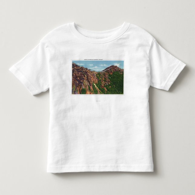 Beskåda av det Whiteface Mt toppmötet Tröja (Framsida)