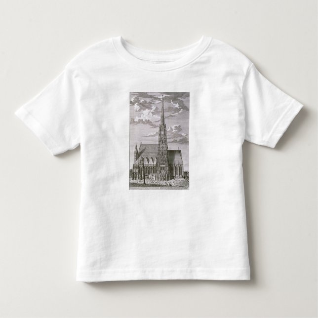 Beskåda av domkyrka för St. Stephans T Shirt (Framsida)