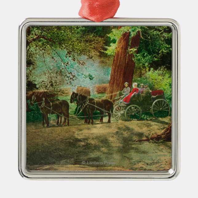 Beskåda av en arrangeralagledare Amongst stora Julgransprydnad Metall (Framsidan)