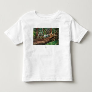 Beskåda av en arrangeralagledare överst av en t shirt