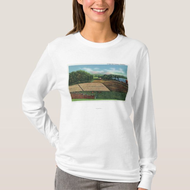 Beskåda av en Cranberrykoloni T-shirt (Framsida)