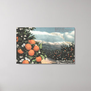 Beskåda av en orange fruktträdgård med berg canvastryck