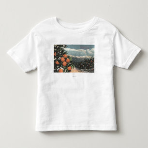Beskåda av en orange fruktträdgård med berg t shirt