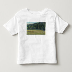 Beskåda av en packe av att beta för hjort tee shirt