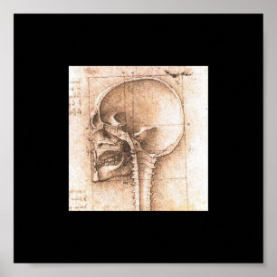 Beskåda av en skalle av Leonardo Da Vinci C. 1489 Poster