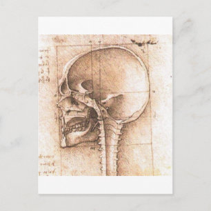Beskåda av en skalle av Leonardo Da Vinci C. 1489 Vykort