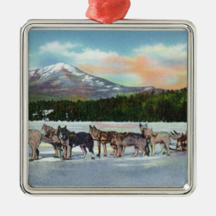 Beskåda av ett Dogsled lag på spegel sjön Julgransprydnad Metall
