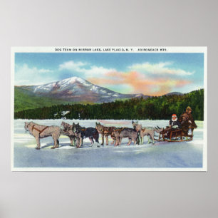 Beskåda av ett Dogsled lag på spegel sjön Poster
