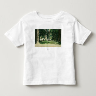 Beskåda av ett läger i redwoodträden t-shirt