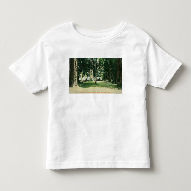 Beskåda av ett läger i redwoodträden t-shirt (Framsida)