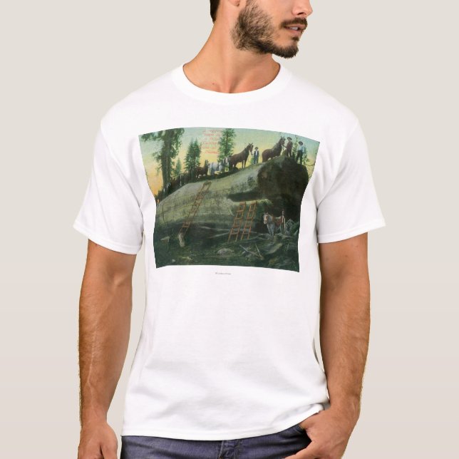 Beskåda av ett logga lag på en stupad redwoodträd tee shirt (Framsida)