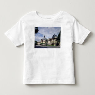 Beskåda av facaden av det petit-Palais Tee