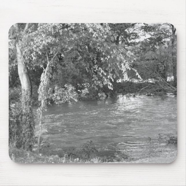 Beskåda av floden musmatta (Framsidan)