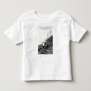 Beskåda av flyget som matchar, södra ForkElk, CA Tee Shirt