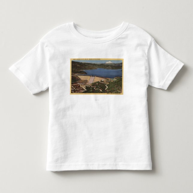 Beskåda av fördämningen, sjön & Mt. Shasta i Tee (Framsida)