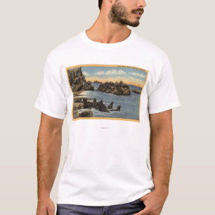 Beskåda av förseglar stenar med sälar t-shirt