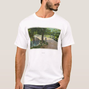 Beskåda av gammal nord överbryggar tee