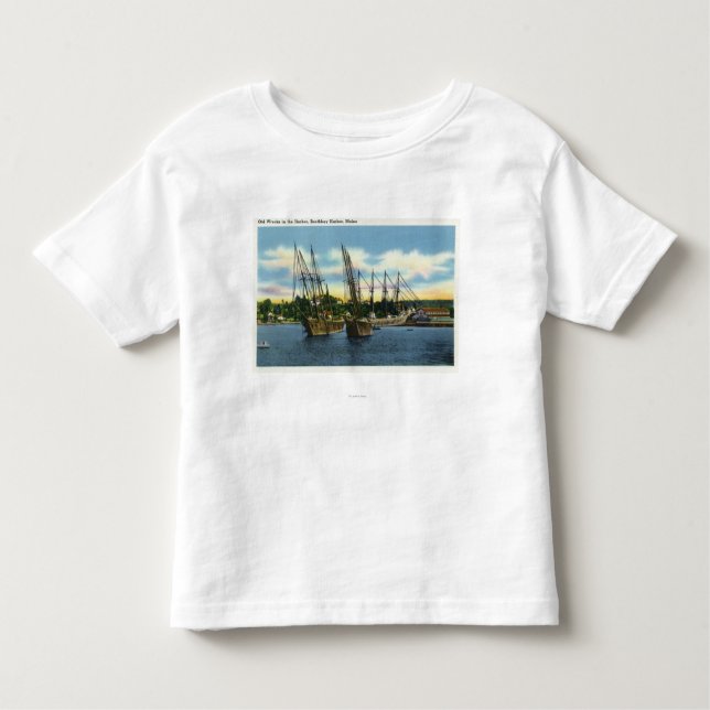 Beskåda av gammala skeppsbrott i hamnen t shirt (Framsida)
