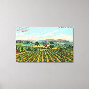 Beskåda av Giersbergen VineyardNapa, CA Canvastryck