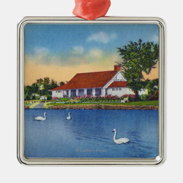 Beskåda av Hoopes parkerar svanar på sjön Julgransprydnad Metall (Framsidan)