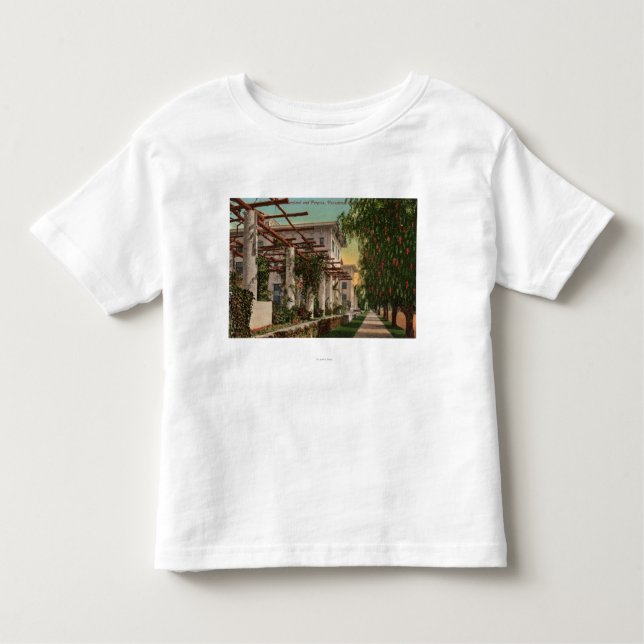Beskåda av hotellet Maryland & Pergola T-shirt (Framsida)