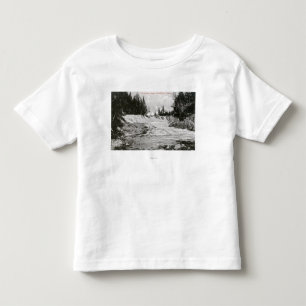 Beskåda av Kennebago nedgångar T-shirt