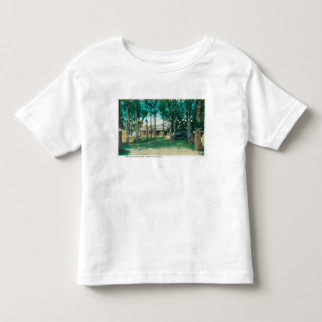 Beskåda av kommunal turist parkerar Idaho T Shirt (Framsida)
