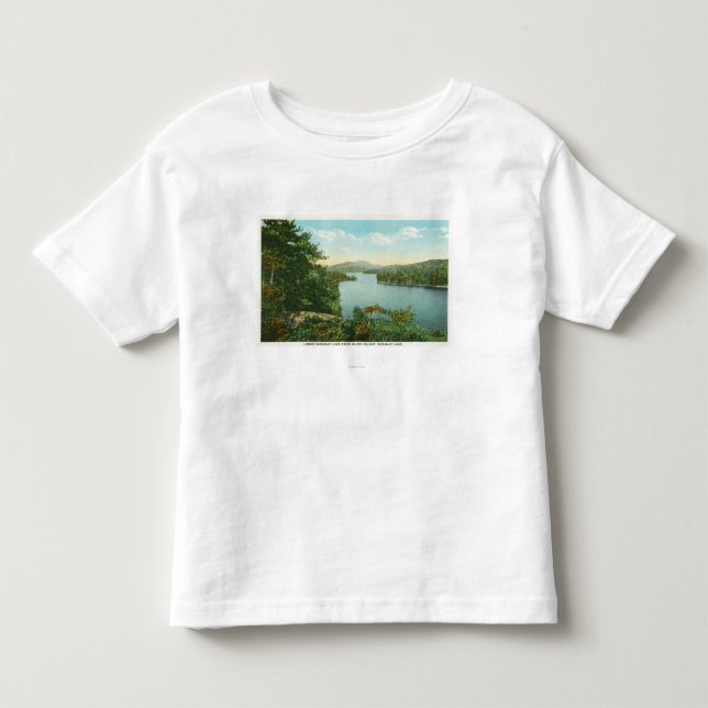 Beskåda av lägre Saranac sjö från den rättframa ön Tröja (Framsida)