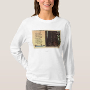 Beskåda av Lanesredwoodträdlägenhet T-shirt