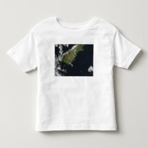 Beskåda av mest av den södra ön av nyazeeländs tee