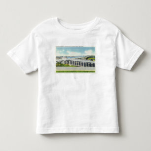 Beskåda av miljon dollar t-shirt