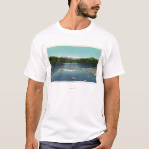 Beskåda av monteringen Washington och Sacoen Tee Shirt