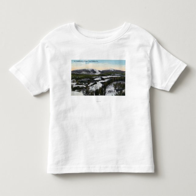 Beskåda av monteringsSaddleback i vintern Tee Shirt (Framsida)