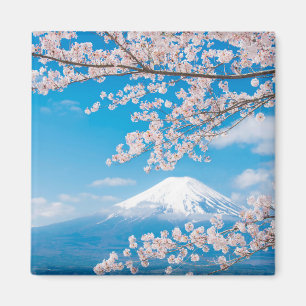 Beskåda av Mount Fuji med körsbärsröda blommar Magnet