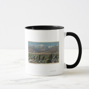 Beskåda av Mt. San Jacinto nära Palm Spring Mugg