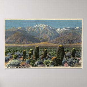 Beskåda av Mt. San Jacinto nära Palm Spring Poster