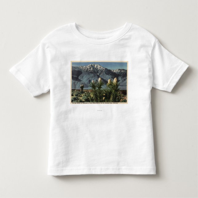 Beskåda av Mt. San Jacinto, yuccaen Mohavensis Tee Shirt (Framsida)