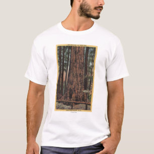 Beskåda av "nackesäkerhetsbrytare" på stora tr t shirt