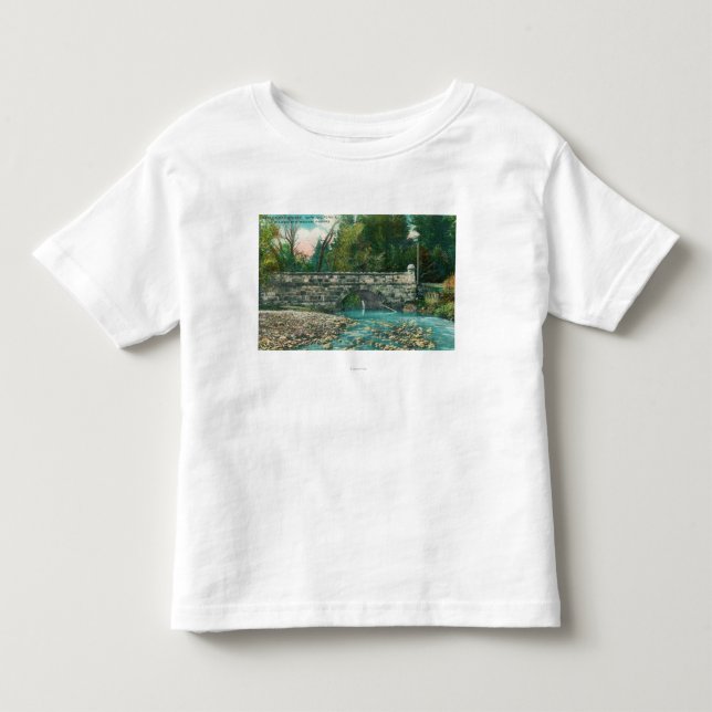 Beskåda av Napaet County BridgeNapa, CA Tee Shirt (Framsida)