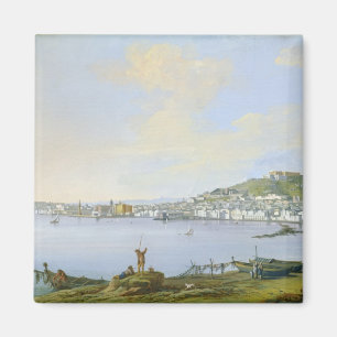 Beskåda av Naples Magnet