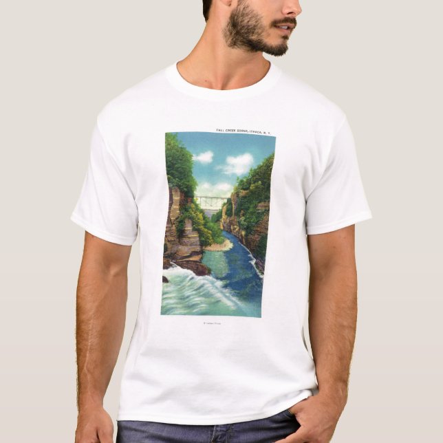 Beskåda av nedgångbäckklyfta tee (Framsida)