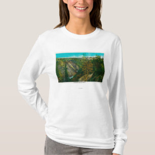 Beskåda av orkanbergsklyfta överbryggar, Alaska Tee