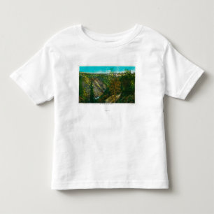 Beskåda av orkanbergsklyfta överbryggar, Alaska Tee Shirt