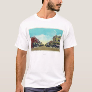 Beskåda av parkerar avenyIdaho nedgångar, T-shirt