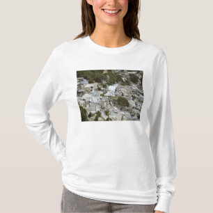 Beskåda av Port-au-Prince, Haiti Tee Shirt