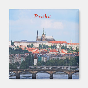 Beskåda av Prague från den Vyšehrad fortress.en Magnet