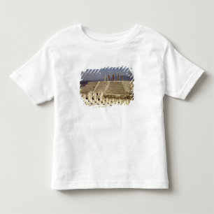 Beskåda av pyramid B, Pre-Columbian T Shirt