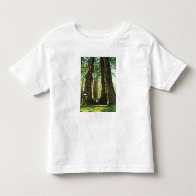 Beskåda av redwoodträdtwillingar på den stora tee shirt (Framsida)