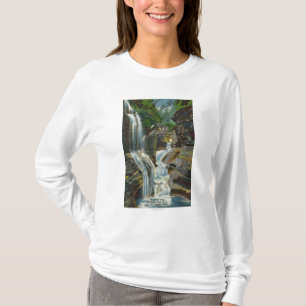 Beskåda av regnbågenedgångar och överbrygga t-shirt